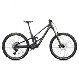 Vélo Orbea RALLON RS-TEAM Fuel Carbon View - Magic Gold (Matt) 2027